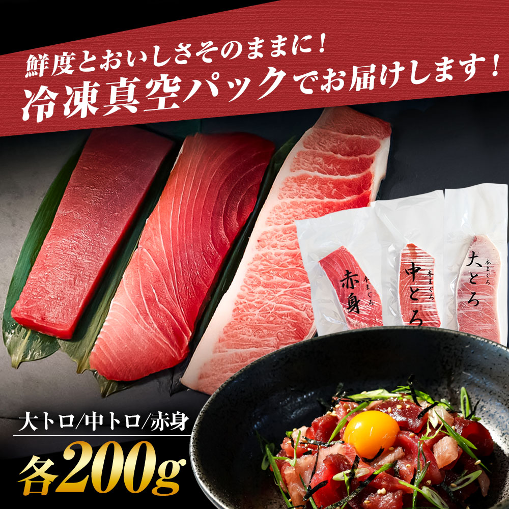 本鮪　大トロ・中トロ・赤身　各200g　まぐろ3種盛セット  マグロ まぐろ 本まぐろ 刺身 刺し身 魚 海鮮 冷凍 美味しい おいしい 食べ比べ セット 詰め合わせ 故郷納税 ふるさとのうぜい 返礼品 高知県 高知