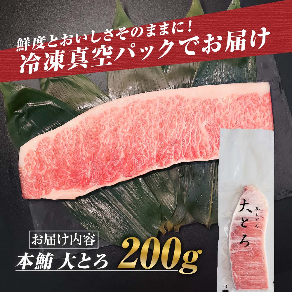 本鮪  大トロ200ｇ マグロ まぐろ 本まぐろ 刺身 刺し身 魚 海鮮 冷凍 美味しい おいしい 故郷納税 ふるさとのうぜい 返礼品 高知県 高知