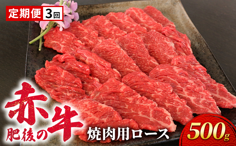 定期便 3ヶ月 あか牛 焼肉 ロース 500g 肥後の赤牛 肉 お肉 牛肉 牛 焼き肉 焼肉用 3回 お楽しみ 