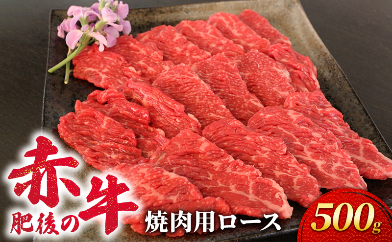 あか牛 焼肉 ロース 500g 肥後の赤牛 肉 お肉 牛肉 牛 焼き肉 焼肉用 