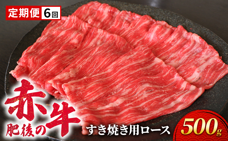 定期便 6ヶ月 あか牛 すき焼き ロース 500g 肥後の赤牛 肉 お肉 牛肉 牛 すきやき用 すきやき 6回 お楽しみ 