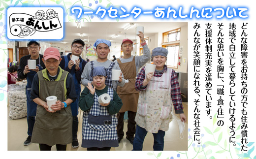 12ヵ月連続12回 定期便 トイレットペーパー ダブル 32.5m 20ロール 無包装 香りなし 日本製 日用品 備蓄 再生紙 リサイクル 業務用 NPO法人支援センターあんしん 新潟県 十日町市 消耗品 生活必需品 エコ製品 