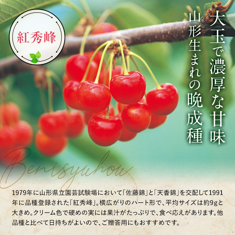 山形県南陽市のふるさと納税 【令和8年産先行予約】 さくらんぼ 「紅秀峰」 約500g (特秀 2L) 《令和8年6月下旬～発送》 『マルエ青果』 先行予約 サクランボ 果物 フルーツ 山形県 南陽市 [1406]