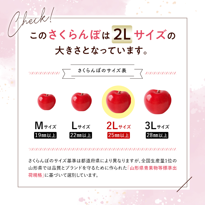 山形県南陽市のふるさと納税 【令和8年産先行予約】 さくらんぼ 「紅秀峰」 約500g (特秀 2L) 《令和8年6月下旬～発送》 『マルエ青果』 先行予約 サクランボ 果物 フルーツ 山形県 南陽市 [1406]