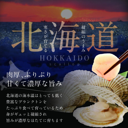 北海道別海町のふるさと納税 【10/1～寄付額改定】大人気 訳あり 北海道産 冷凍 ホタテ 400g ほたて ホタテ 帆立 貝柱  海鮮 魚介類 刺身 大粒 天然 海鮮  ランキング 大人気 人気 おすすめ 訳あり ）