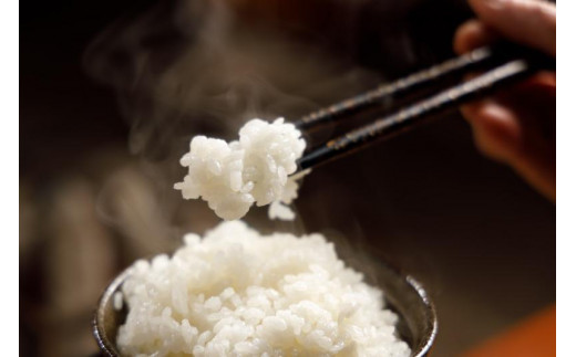 12カ月定期便【特別栽培米】頂米金兵衛 魚沼産コシヒカリ（精米）2kg お米 コメ 