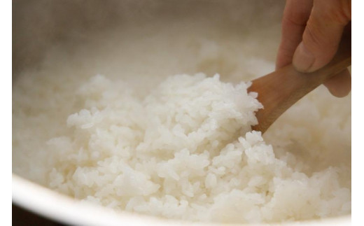 ６カ月定期便【特別栽培米】頂米金兵衛 魚沼産コシヒカリ（精米）2kg お米 コメ 