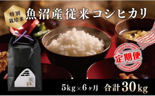 ６カ月定期便【特別栽培米】頂米金兵衛 魚沼産従来コシヒカリ（精米）5kg お米 コメ 