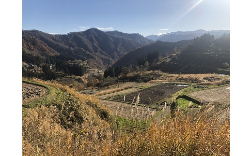 【特別栽培米】頂米 金兵衛 魚沼産従来コシヒカリ（精米）1kg お米 コメ 