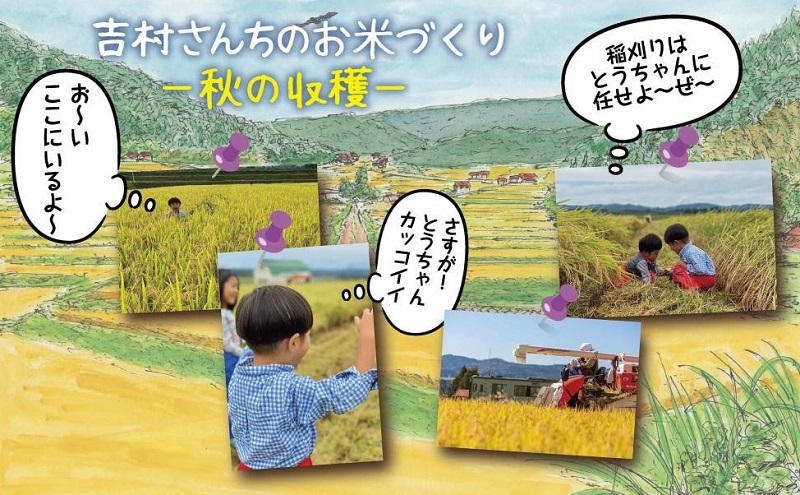 ｜従来品種｜ 魚沼産 コシヒカリ 5kg 米 こしひかり お米 コメ 新潟 魚沼 魚沼産 白米 送料無料 新潟県産 精米 産直 農家直送 お取り寄せ 吉村さんちのお米 新潟県 十日町市 モチモチ 安心 安全 