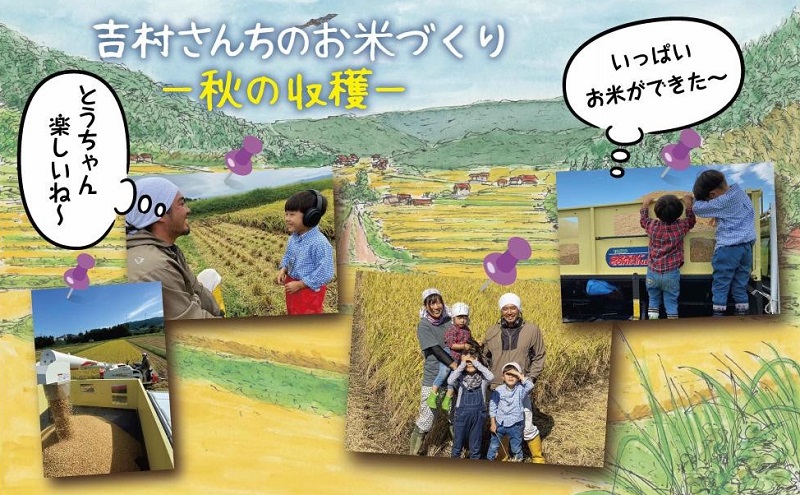 ｜従来品種｜ 魚沼産 コシヒカリ 5kg ×2袋 計10kg 米 こしひかり お米 コメ 新潟 魚沼 魚沼産 白米 送料無料 新潟県産 精米 産直 農家直送 お取り寄せ 吉村さんちのお米 新潟県 十日町市 モチモチ 