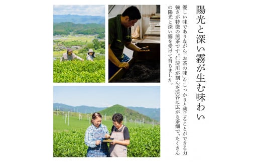 沢渡茶飲み比べセット 沢渡茶100g さわたりほうじ茶80g みず出し緑茶5g×12袋 飲み比べ 茶葉 ティーパック お茶 緑茶 焙じ茶 水だし 水出し 国産 日本茶 銘茶 煎茶