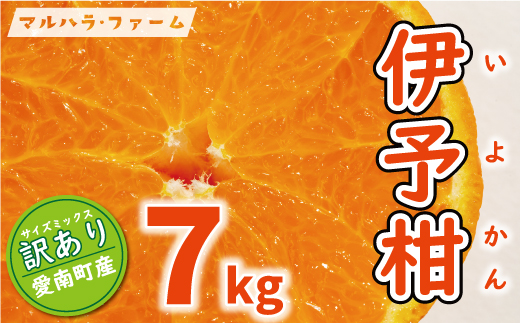 訳あり 伊予柑 7kg 7000円 （発送期間：2月中旬～無くなり次第終了） みかん いよかん ブランド 家庭用 産地直送 国産 農家直送 糖度 果樹園 期間限定 数量限定 特産品 ゼリー ジュース 人気 限定 さわやか 甘い 新鮮 果実  フルーツ 果物 柑橘 蜜柑 規格外 サイズ ミックス 愛媛県 愛南町 マルハラファーム 