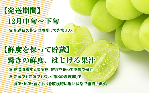 山形県南陽市のふるさと納税 【令和7年産先行予約】 JA 冬のシャインマスカット 約1.5kg (2～3房 秀) 《令和7年12月中旬～下旬発送》 『JA山形おきたま』 山形県 南陽市 [2055]