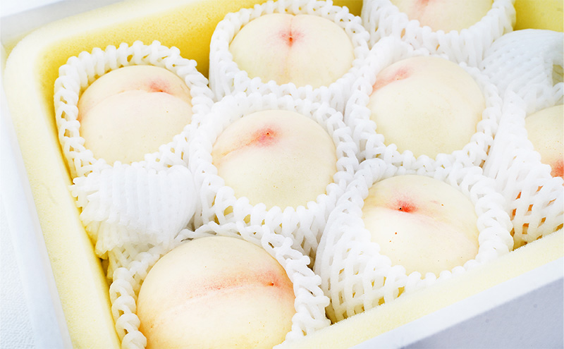 桃 2026年 先行予約 白桃 8玉（1玉200g以上）化粧箱入り もも モモ 岡山県産 国産 フルーツ 果物 ギフト 