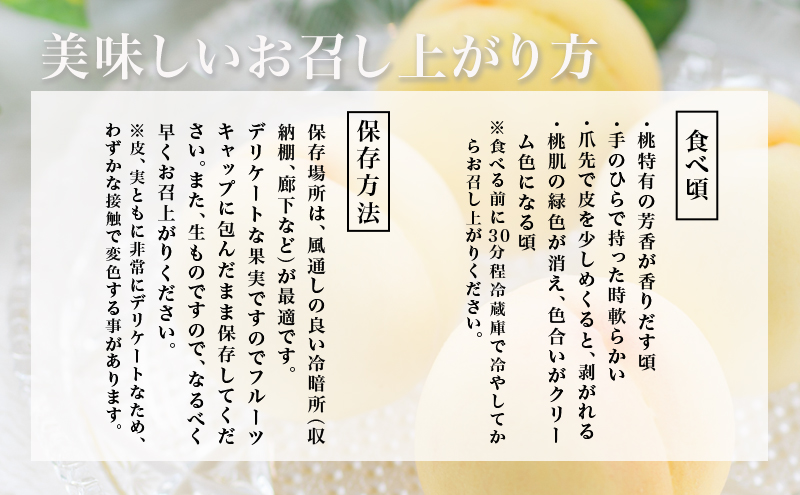 桃お問い合わせ2024年度 今年もやります！第2回桃フェス2025年7月19日」 | はな