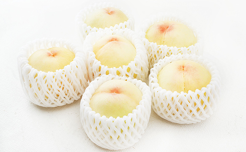 桃 2026年 先行予約 岡山 の 白桃 6玉（合計1.6kg以上）化粧箱入り もも モモ 岡山県産 国産 フルーツ 果物 ギフト デザート 上品な甘み とろける 産地直送 