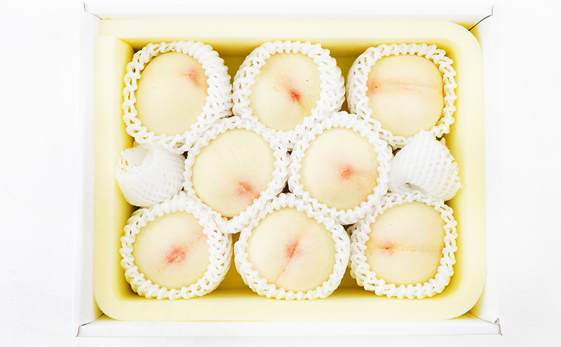 桃 2026年 先行予約 白桃 8玉 （1玉200g以上） 等級：ロイヤル 化粧箱入り もも モモ 岡山県産 国産 フルーツ 果物 ギフト 贈答品 糖度12.0度以上 