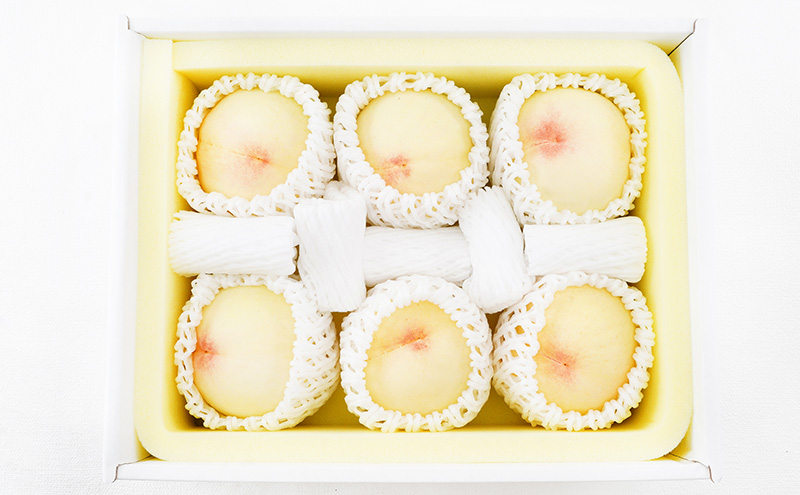 桃 2026年 先行予約 白桃 6玉 （1玉250g以上） 等級：ロイヤル 化粧箱入り もも モモ 岡山県産 国産 フルーツ 果物 ギフト 贈答品 糖度12.0度以上 