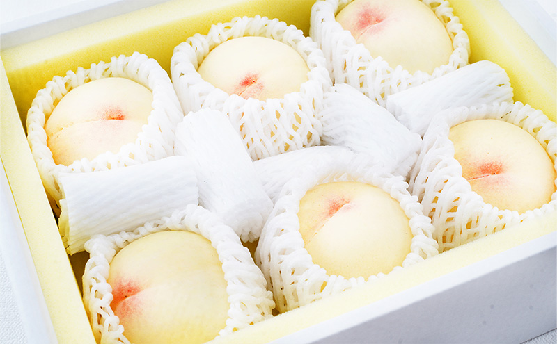 桃 2026年 先行予約 清水 白桃 6玉（1玉300g以上） 等級： ロイヤル 化粧箱入り もも モモ 岡山県産 国産 フルーツ 果物 ギフト 糖度12.0度以上 スイーツ 