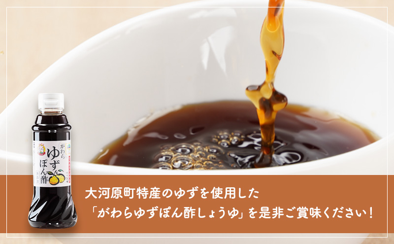 大河原町観光物産協会 特産品Eセット 加工食品 調味料 梅シロップ ゆずぽん酢しょうゆ ゆずとうがらし 調味料セット 詰め合わせ 
