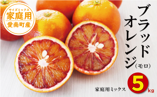 ブラッドオレンジ 5kg （ 家庭用 ミックス ） 10000円 （発送期間：1月下旬～無くなり次第終了） みかん オレンジ おれんじ タロッコ モロ イタリア 高級 ブランド 家庭用 産地直送 国産 農家直送 糖度 果樹園 期間限定 数量限定 特産品 ゼリー ジュース 人気 限定 さわやか 甘い 新鮮 果実 果肉 フルーツ 果物 柑橘 蜜柑 規格外 サイズ ミックス 愛媛県 愛南町 果樹園みどり