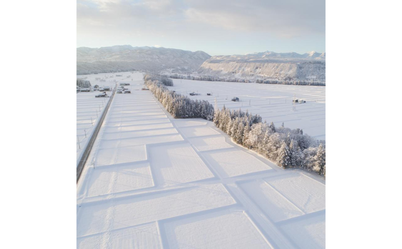 令和7年産！魚沼産 新之助【農家直送!】5kg×2袋 お米 米 コメ 