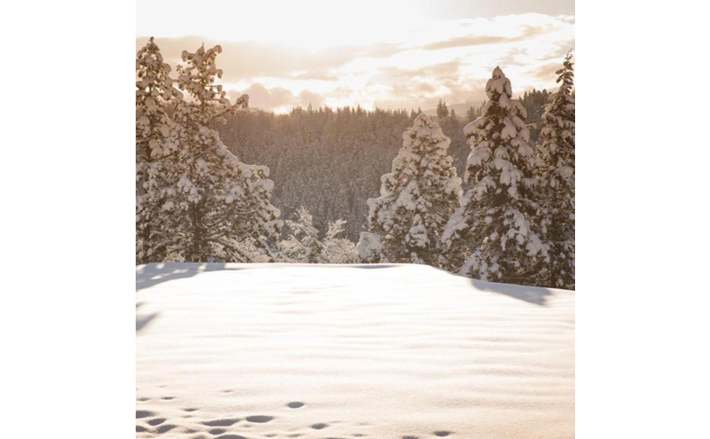 令和7年産！魚沼産コシヒカリ【農家直送!】 10kg×2袋 お米 米 コメ 