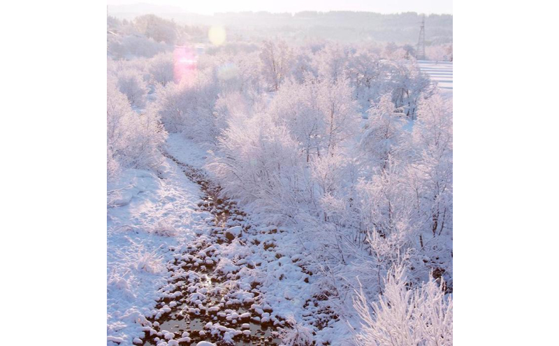 令和7年産！魚沼産コシヒカリ【農家直送!】 5kg(1kg×5袋) お米 米 コメ 