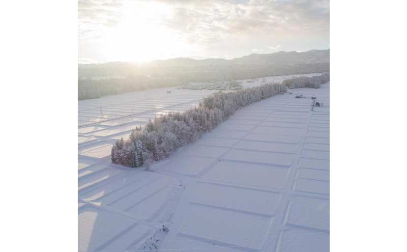令和7年産！魚沼産コシヒカリ【農家直送!】 5kg×2袋 お米 米 コメ 