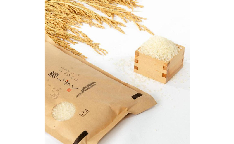 令和7年産！魚沼産コシヒカリ【農家直送!】 6kg(2kg×3袋) お米 米 コメ 