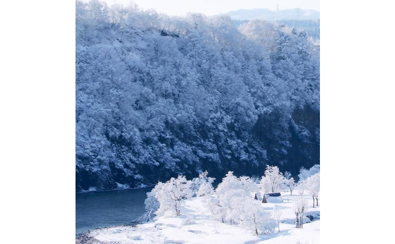 令和7年産！魚沼産コシヒカリ【農家直送!】 6kg(2kg×3袋) お米 米 コメ 