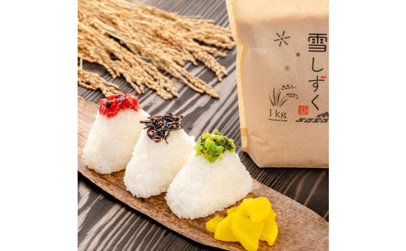 令和7年産！魚沼産こだわり従来コシヒカリ【農家直送!】5kg(1kg×5袋) お米 米 コメ 