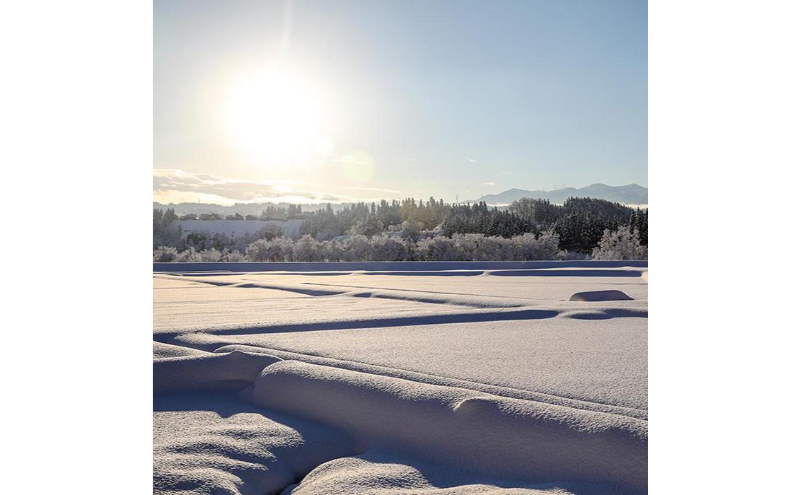 令和7年産！魚沼産こだわり従来コシヒカリ【農家直送!】5kg(1kg×5袋) お米 米 コメ 