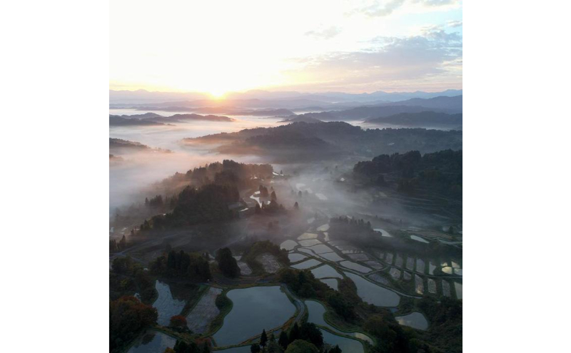 令和7年産！魚沼産こだわり従来コシヒカリ【農家直送!】5kg×1袋 お米 米 コメ 