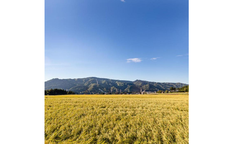 令和7年産！魚沼産こだわり従来コシヒカリ【農家直送!】5kg×2袋 お米 米 コメ 