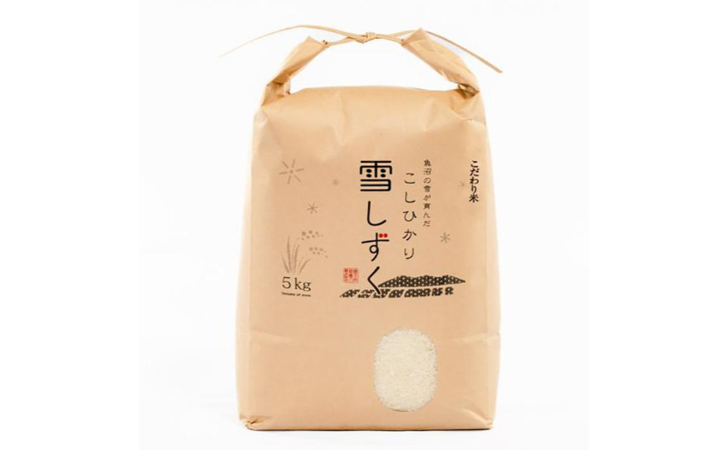 令和7年産！魚沼産こだわり従来コシヒカリ【農家直送!】5kg×2袋 お米 米 コメ 