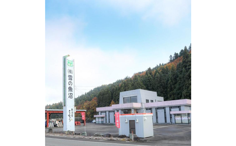 令和7年産！魚沼産こだわり従来コシヒカリ【農家直送!】10kg×2袋 お米 米 コメ 