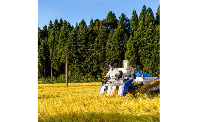 令和7年産！魚沼産こだわり従来コシヒカリ【農家直送!】10kg×2袋 お米 米 コメ 