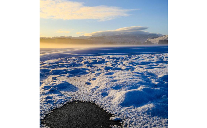 【令和7年産】定期便！魚沼産 新之助【合計120kg】10kg×12回 お米 米 こめ コメ 