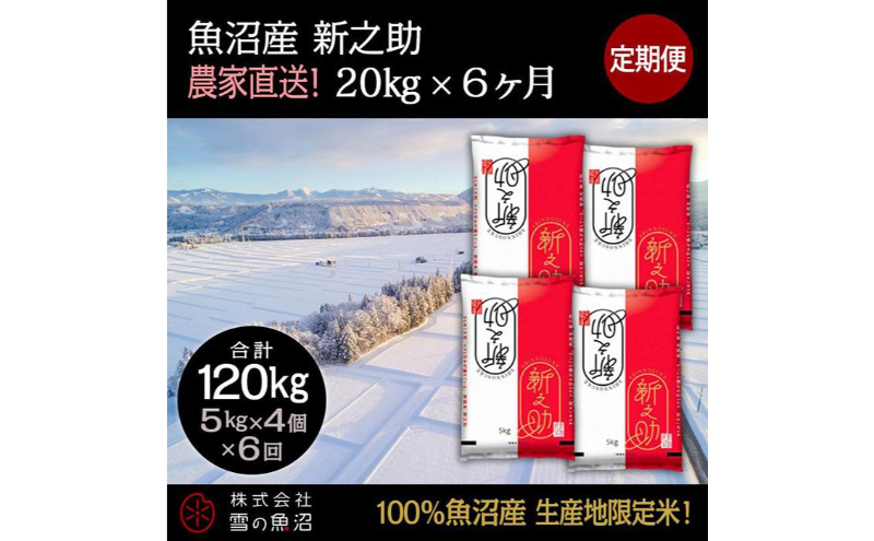 【令和7年産】定期便！魚沼産 新之助【合計120kg】20kg×6回 お米 米 こめ コメ 