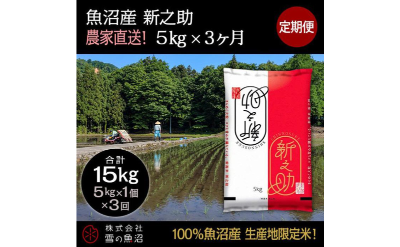 【令和7年産】定期便！魚沼産 新之助【合計15kg】5kg×3回 お米 米 こめ コメ 
