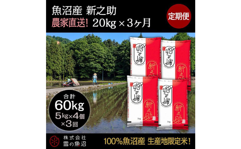 【令和7年産】定期便！魚沼産 新之助【合計60kg】20kg×3回 お米 米 こめ コメ 