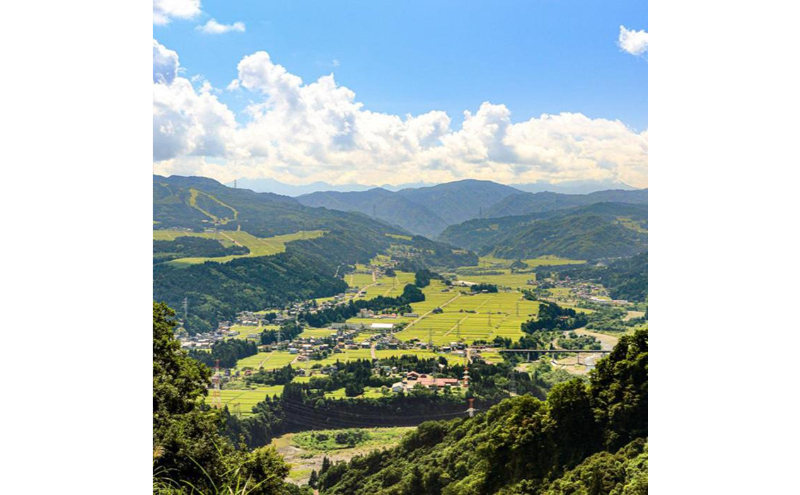 【令和7年産】定期便！魚沼産 新之助【合計60kg】20kg×3回 お米 米 こめ コメ 