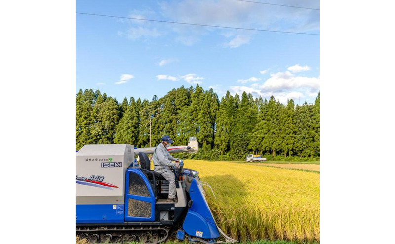 【令和7年産】定期便！魚沼産 新之助【合計60kg】5kg×12回 お米 米 こめ コメ 