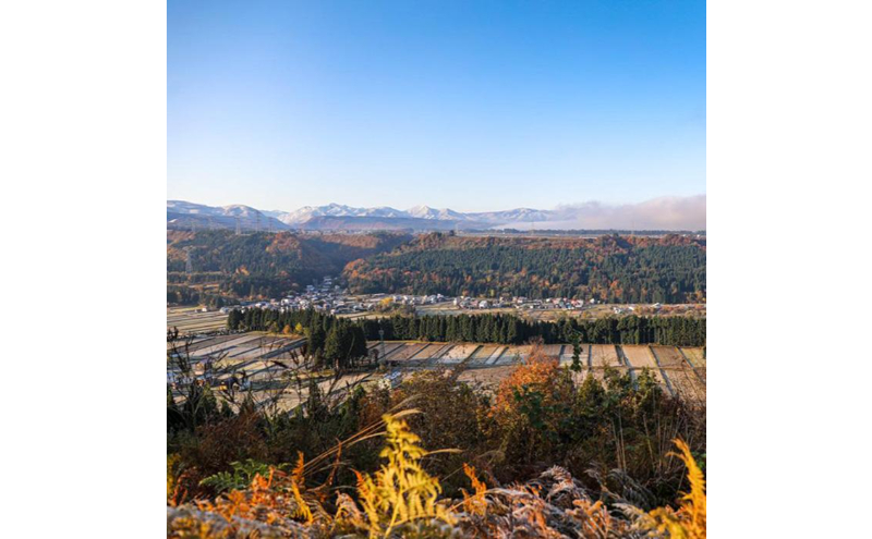 【令和7年産】定期便！魚沼産コシヒカリ【合計120kg】毎月10kg×12回 お米 ブランド米 銘柄米 精米 白米 ご飯 おにぎり お弁当 和食 産地直送 