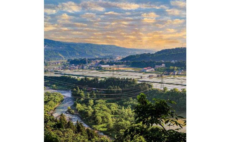 【令和7年産】定期便！魚沼産コシヒカリ【合計240kg】毎月20kg×12回 お米 ブランド米 銘柄米 精米 白米 ご飯 おにぎり お弁当 和食 産地直送 