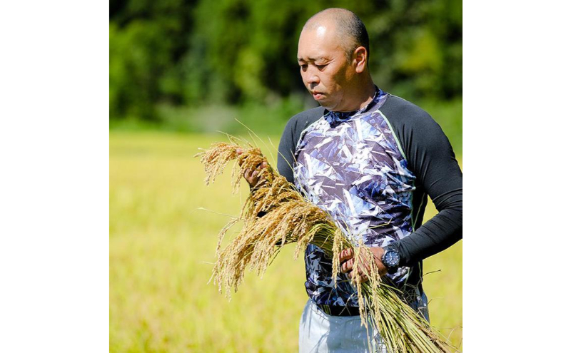 【令和7年産】定期便！魚沼産コシヒカリ【合計120kg】毎月20kg×6回 お米 ブランド米 銘柄米 精米 白米 ご飯 おにぎり お弁当 和食 産地直送 