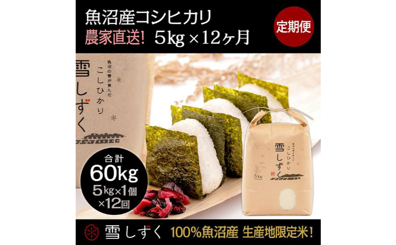 【令和7年産】定期便！魚沼産コシヒカリ【合計60kg】毎月5kg×12回 お米 ブランド米 銘柄米 精米 白米 ご飯 おにぎり お弁当 和食 産地直送 