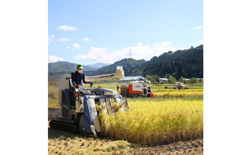 【令和7年産】定期便！魚沼産コシヒカリ【合計60kg】毎月5kg×12回 お米 ブランド米 銘柄米 精米 白米 ご飯 おにぎり お弁当 和食 産地直送 